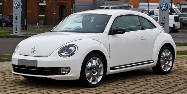 Beetle